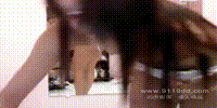 网红主播(1)-2012032410-26-48