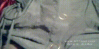 网红主播(1)-2012032414-02-34