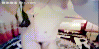 网红主播第一季 第19集