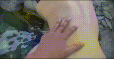手机小视频 第357集