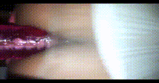 手机小视频 第509集