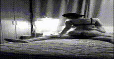 手机小视频 第609集