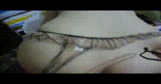 手机小视频 第919集