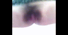 手机小视频 第998集