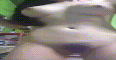 手机小视频 第1228集