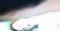 手机小视频 第1446集