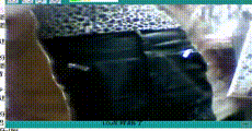 网红主播 第598集