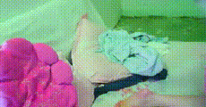 网红主播 鸟巢酒瓶2138