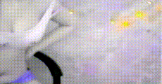 网红主播 第1290集