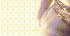 网红主播 第1377集