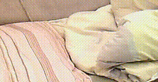 网红主播 第1487集