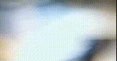 网红主播 第1537集