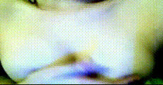 网红主播 第1702集