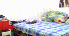 网红主播 第1736集