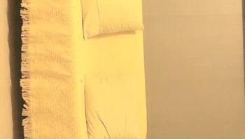 太子探花11