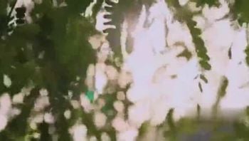 【 失身的模特 】-韩国三级-中文字幕