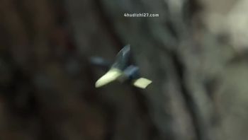 {韩国三级}탐하다 욕망의섬2017HDRip1080p