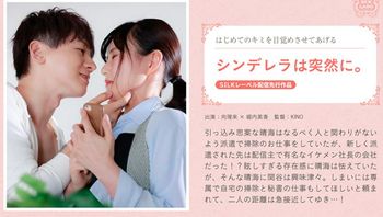 シンデレラは突然に。