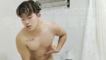 DB摔跤选手的飞机合集