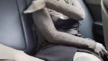鱿鱼直播侧拍2