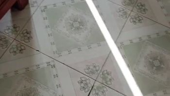 又是陪嫂子谈心的一天，就算大哥在家，她也希望我能陪她几天