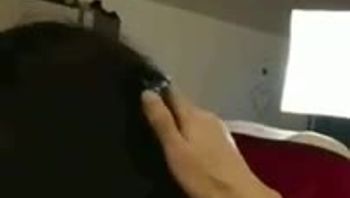 美女辅导员坐骑几下就把我搞射