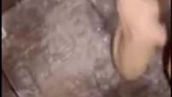 出探花设备 发骚药 这才是真正的母狗 操的浑身颤抖哭着求饶说不要了
