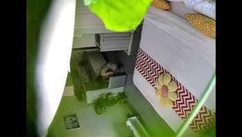 酒店监控偷拍饥渴少妇偷情闺蜜老公男人鸡巴虽小但很猛