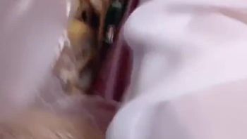 直播录屏 单身小母狗 20260121期-1