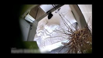 监控偷拍 淑女型少妇没脱衣服就让猛男强推暴操大叫 猛男开始用力地抽插