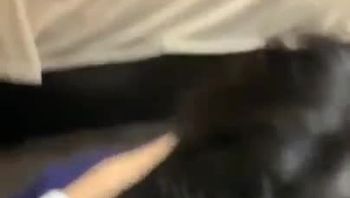 下班约同事一起加班