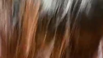 上海母狗徐爱琳背着男朋友天台喷水吃鸡吧挨操